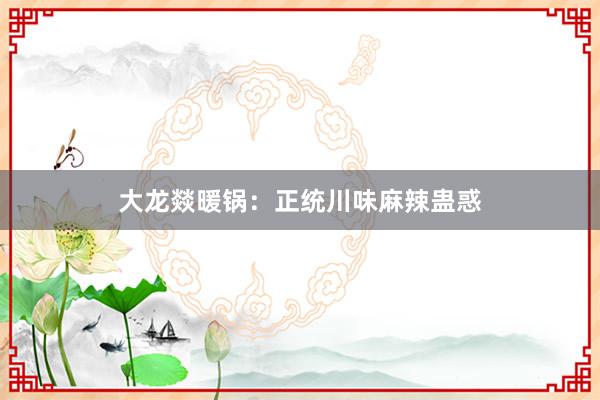 大龙燚暖锅：正统川味麻辣蛊惑