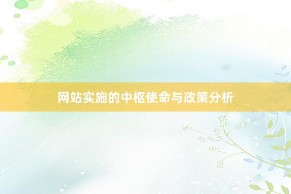 网站实施的中枢使命与政策分析